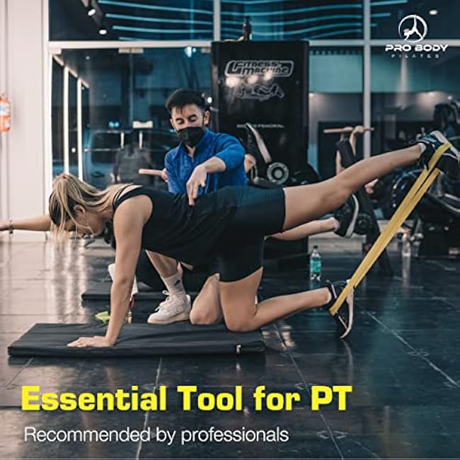 ProBody Pilates Loop Resistance Bands for Working Out, Set of 5 Exercise Bands Resistance, Workout Bands Resistance for Exercise, Small Physical Therapy Bands, 12 x 2