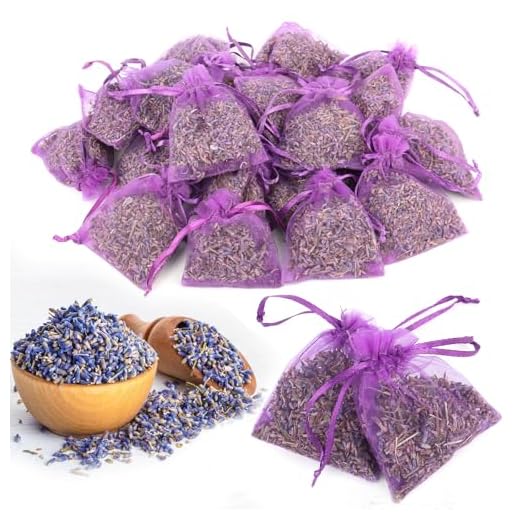 TNEDFOD 20 Saquitos de Lavanda Seca Natural, Bolsitas de Lavanda Perfumada para Armario, Ambientador Armario Ropa, Bolsa de Lavanda Seca Desodorante Aroma Intenso,5 g por Bolsa para Coche y Habitación