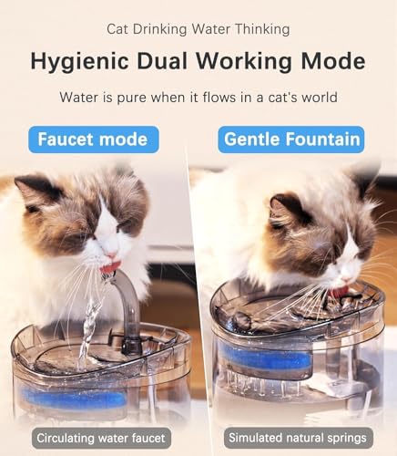 Image of iPettie Neverland Cat Water Fountain with LED Light, 67oz /2.0L, Ultra Quiet Drinking Waterer, Automatic Filtered Water Dispenser, Water Purifier for Pets, (Transparent)