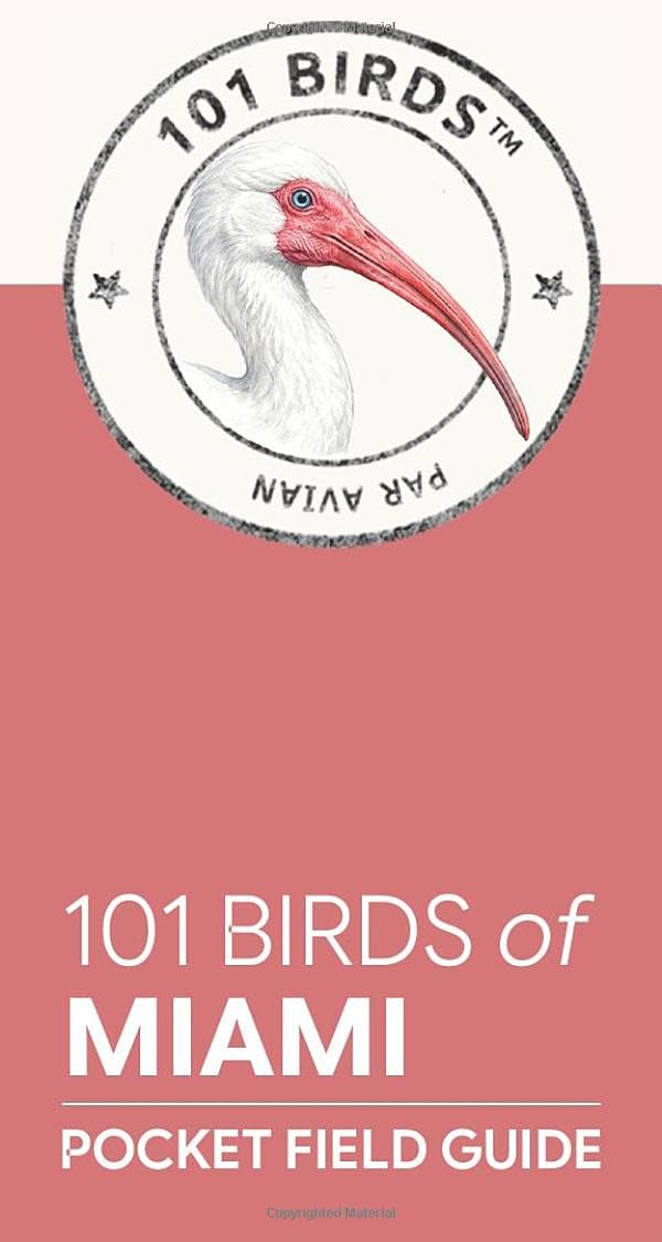 101 Birds of Miami: Pocket Field Guide (101 Birds Pocket Field Guides)