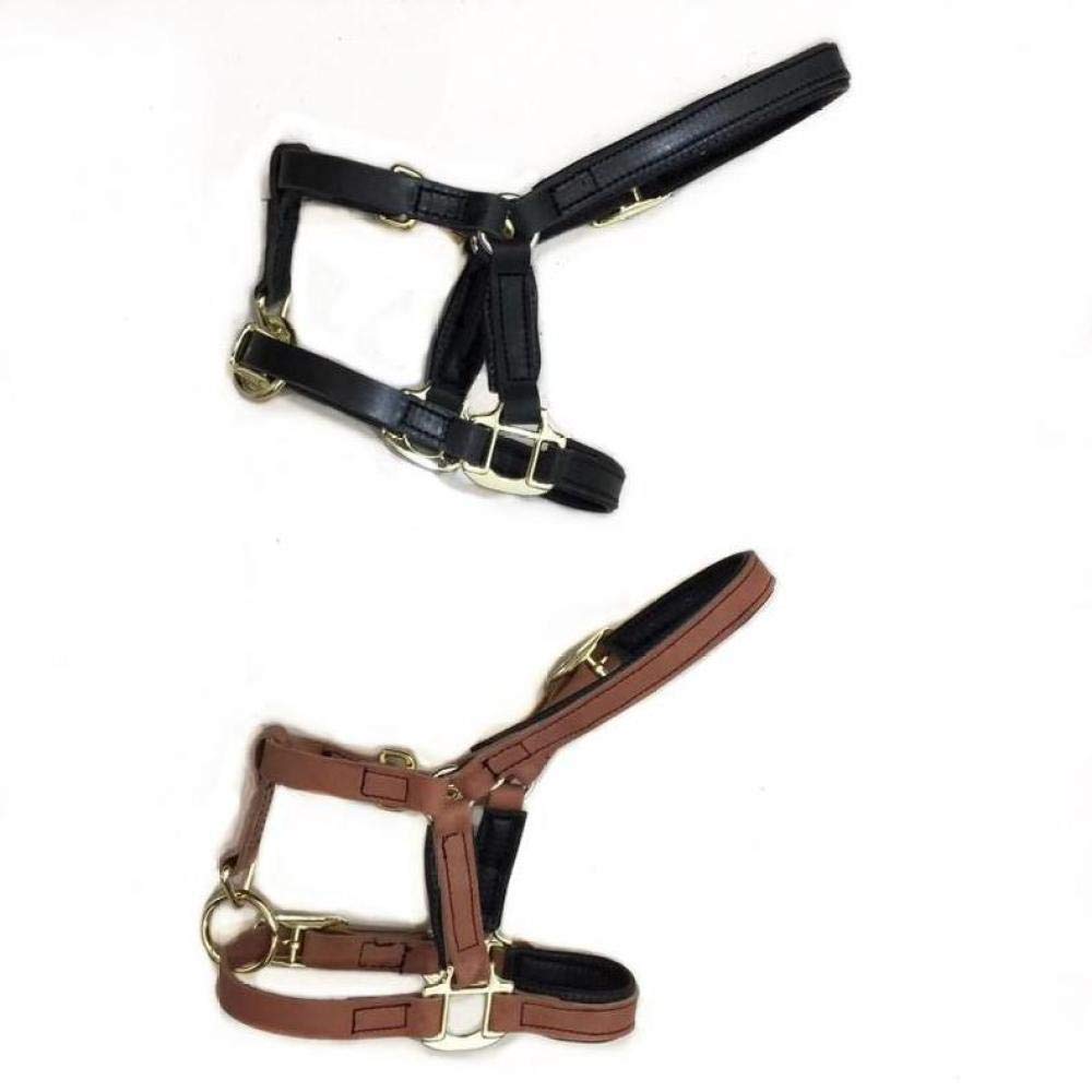 Bridas Cabestros Ecuestres De Caballo Ajustables Y Brida De Caballo Halter con Y Cinturón De Rienda Fijo,Black-L
