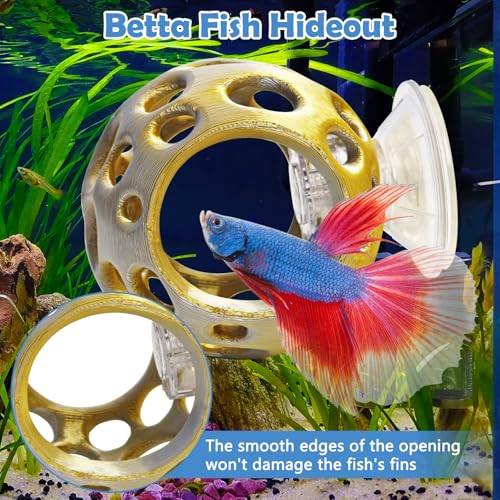 Image of Fhiny Betta Tunnel, Aquarium Betta Fish Hideout with Suction Cup Fish Tank Tunnel Shrimp Cave Aquarium Decor Fish Tank Accessories for Small Fish Shrimp Betta Guppy Hiding Resting (Gold)
