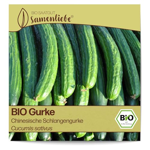 Samenliebe BIO Gurken Samen alte Sorte Chinesische Schlangengurke Freilandgurke lange Salatgurke grün 10 Samen samenfestes Gemüse Saatgut für Gewächshaus Freiland und Balkon BIO Gemüsesamen Samenliebe BIO Gurken Samen alte Sorte Chinesische Schlangengurke Freilandgurke lange Salatgurke grün 10 Samen samenfestes Gemüse Saatgut für Gewächshaus Freiland und Balkon BIO Gemüsesamen