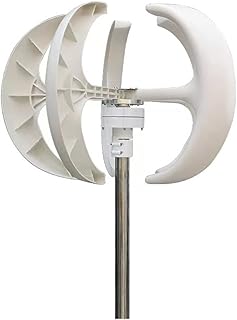 Windturbinen-Generator-Set für Zuhause Vertikale Windkraftanlage Windmühle 1000 W 12 V 24 V Geräuscharm Windgeschwindigkeit Beginn der Drehung Freie Energie mit MPPT-Laderegler(White,TURBINE ONLY_12V)
