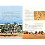 Atlas Obscura, 2nd Edition: An Explorer's Guide to the World's Hidden Wonders Hardcover – Illustrated, October 15, 2019 - Image 4