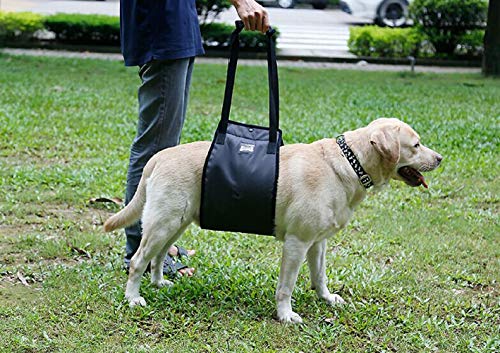 RUIXIB Hunde Tragehilfe Gehhilfe Hebehilfe Rehahilfe Geschirr Harness Hilfsgeschirr mit Griff für Alter Hund und kranke Hunde Kit zur Linderung von Hüft und Knieproblemen bei Haustieren RUIXIB Hunde Tragehilfe Gehhilfe Hebehilfe Rehahilfe Geschirr Harness Hilfsgeschirr mit Griff für Alter Hund und kranke Hunde Kit zur Linderung von Hüft und Knieproblemen bei Haustieren