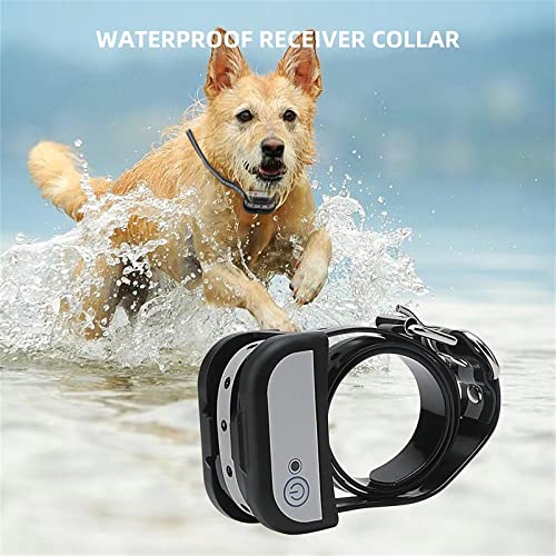 Wireless Dog Fence Collar Closeup