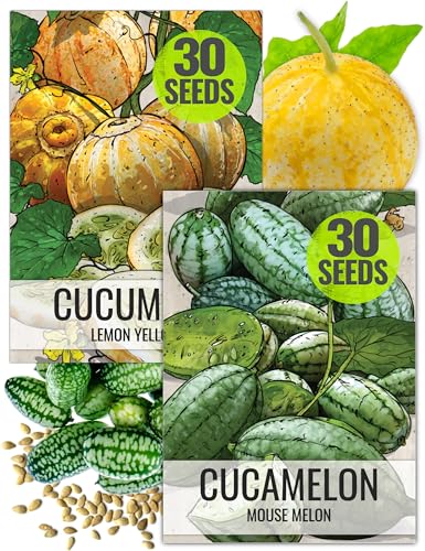 Seed Needs Cucamelon Seeds/Lemon Cucumber Seeds for Planting - Non-GMO, Heirloom & Untreated Vegetables - Grow a Home Grown Outdoor Vegetable Garden (2 Pack Collection)