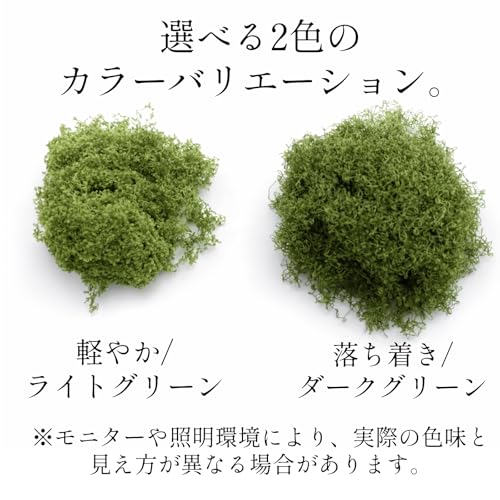 YOTSUBA＋ フェイクモス 10g×2色セット ジオラマ 人工苔 模型 装飾 グリーン 苔 コケ (ライトグリーン＋ダークグリーン) [3]