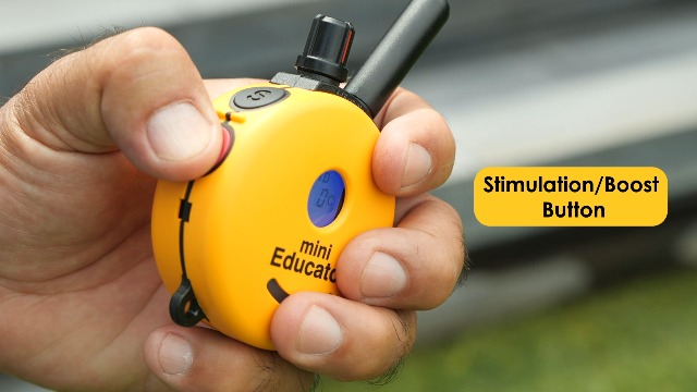 Amazon.com : Educator ET-300 Zen Mini E Collar for Dog Training with Remote - 1/2 Mile Range, Waterproof, 100 Blunt Stimulation Levels, Tone or Vibration Mode, Night Light Tracking for Small, Medium Amazon.com : Educator ET-300 Zen Mini E Collar for Dog Training with Remote - 1/2 Mile Range, Waterproof, 100 Blunt Stimulation Levels, Tone or Vibration Mode, Night Light Tracking for Small, Medium