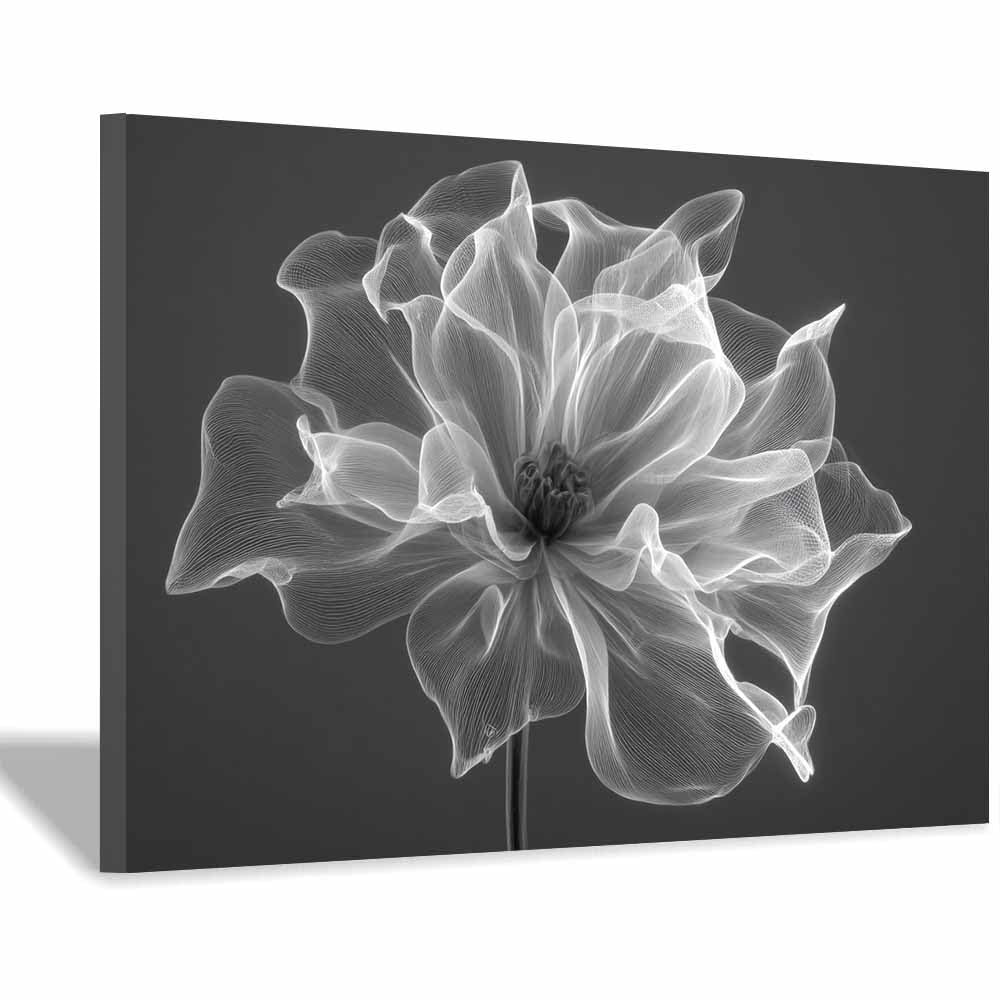 ZAMAEIU Nature Wall Art Veined-patterned flower decorative home accessories, paintings wall art,For living room, bedroom, Apartment Corridor Office etc.(black and white)-70x100cm Framed