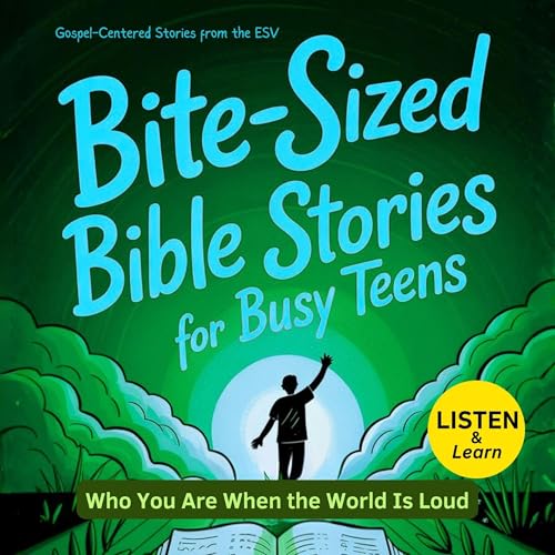 Bite-Sized Bible Stories For Busy Teens cover art
