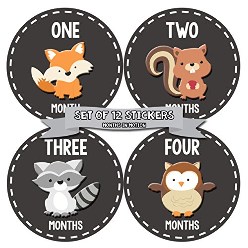 Image of Months In Motion Gender Neutral Baby Month Stickers - Monthly Milestone Sticker for Boy or Girl - Infant Shower Gift - Newborn Keepsakes - Unisex - Woodland Animals