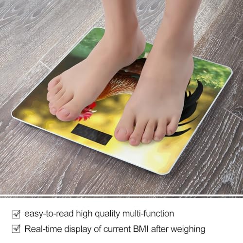 Báscula Digital para Baño con Plataforma de Vidrio Templado miniatura 5