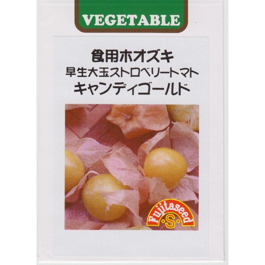 Amazon.co.jp: 藤田種子 食用ホオズキ 早生大玉ストロベリートマト