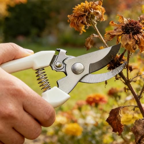 Tijeras de jardinería profesionales de acero inoxidable miniatura 1