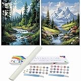 Paint by numbers kit for adults: The kit includes the tools needed for painting-2 sets of pre-printed clear canvases (without frames), high-quality acrylic paints, brushes in different sizes,a numbered paper guide for easy reference,all components ar...