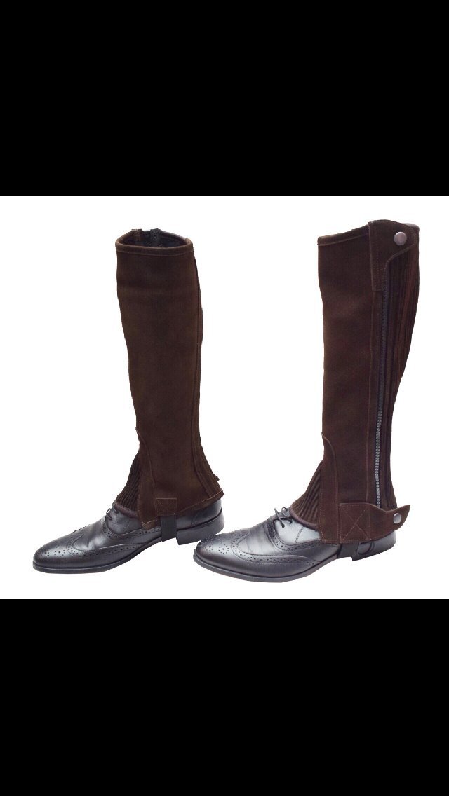 Perri's Ladies Preofessional Half Chaps, Brown, XX-Large