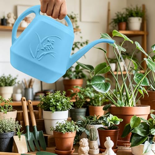 Image of Plant Watering Can - Sky Blue - 1 /2 Gallon