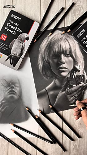 Image of BRUSTRO Fine Art Graphite Pencil - Set of 12 (10B - 2H) with Mechanical Precision Retractable Eraser(2.3mm) | Ideal for Drawing,Sketching,Mandala,Shading,Artwork, Beginners, Artists and Professionals