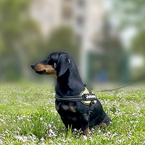 P24S 2 Stücke personalisiertes Klettsticker Wunschlogo, Namensaufkleber mit Klettverschuss für Kleidung, Rucksäcke, Hundegeschirr, Outdoor-aktivitäten (Klein)
