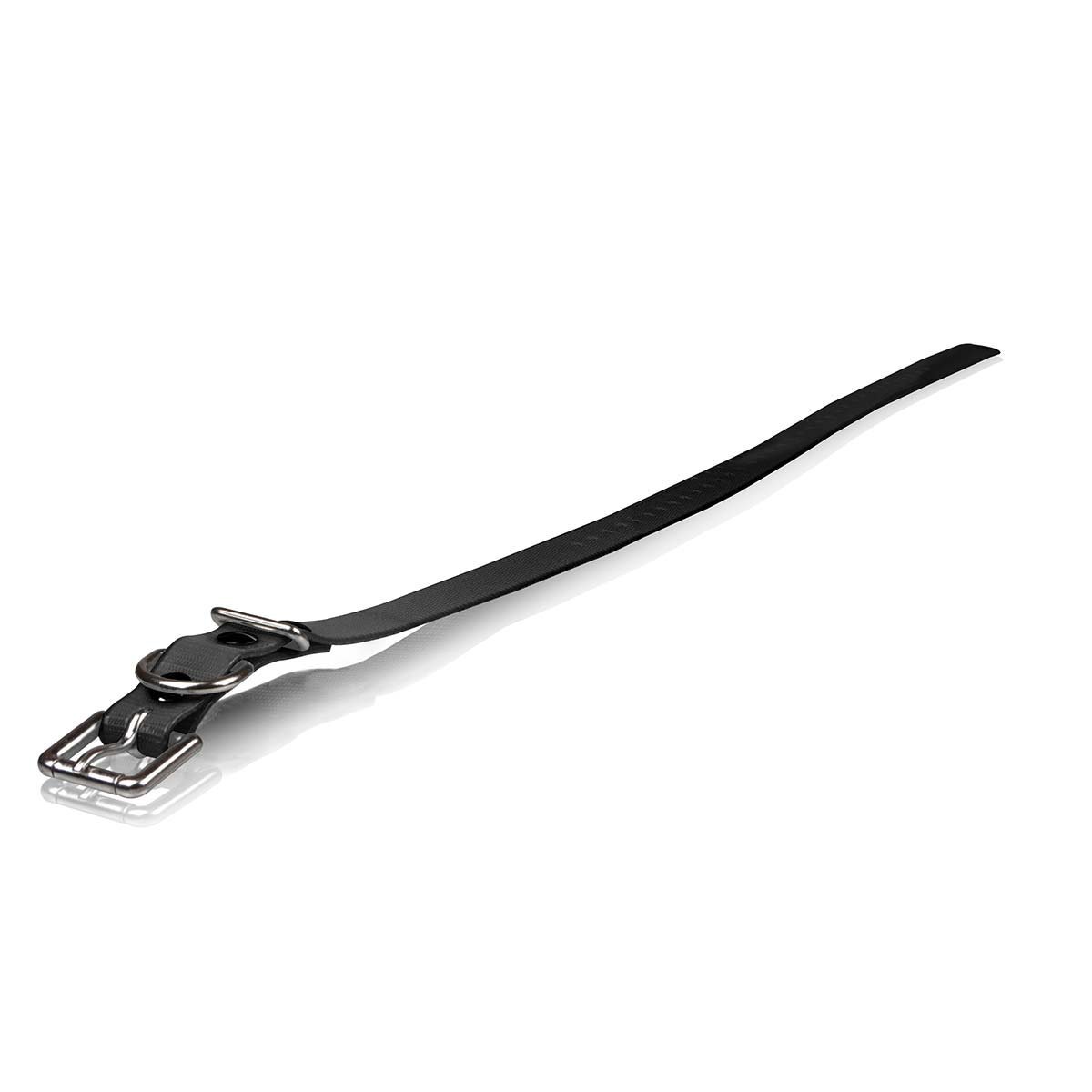 Dog Strap Size: 3/4" W x 24" D, Color: Black