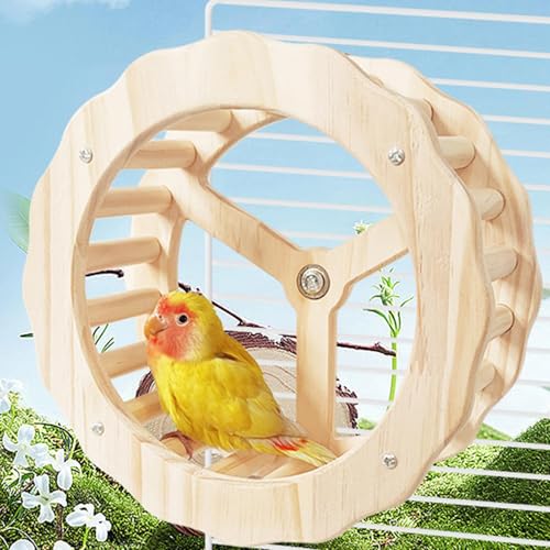 Accessoires de cage pour perroquet avec roue d'exercice