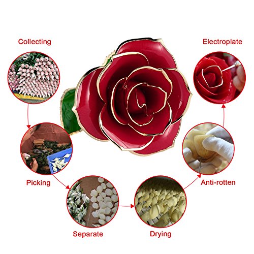 Rosa Regalo Fiore 24K Oro Rosa Rifinita e Placcata...