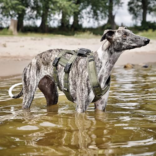 Annyx Brustgeschirr Safety Fun - Oliv / Oliv Größe L