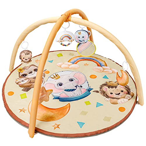 Find The Best Tummy Time Play Mat Reviews & Comparison Katynel