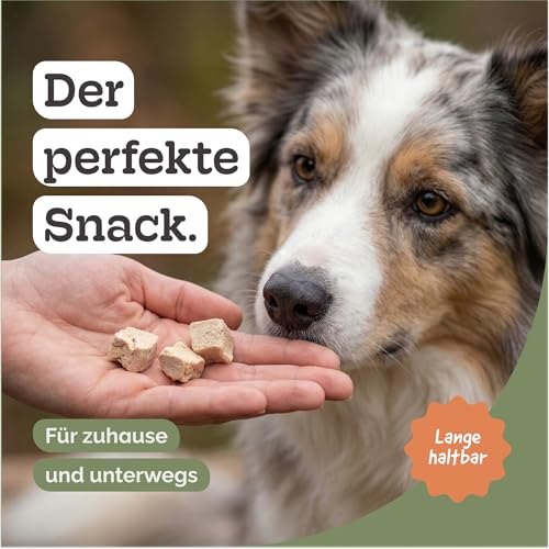 Hühnerbrustfilet Gefriergetrocknet für Hund und Katze, Proteinreich, Fettarm, Naturbelassen, Ohne Konservierungsstoffe, Premium Snack, Freeze Dried(1kg)