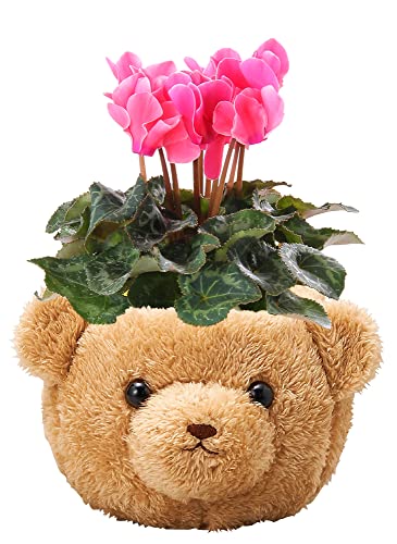 Ԃ̃Mtg VN VN v[g Mtg K[fVN  VNA