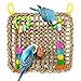 SunGrow Bird Foraging Wall Toy with Hanging Hook, 12.6x13.75 Inches, Edible Seagrass Woven Mat, Beak Exercise and IQ Simulation of Small and Medium Bird, Suitable for Wide Variety of Birds, 1 Piece