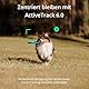 DJI OSMO Mobile SE Smartphone-Gimbal mit PU Leder Aufbewahrungs, 3-Achsen-Stabilisierung, handlich und, Android- iPhone-Gimbal mit ShotGuides, ActiveTrack 6.0, Vlog-Stabilisator, Athens Grau