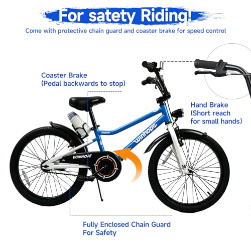 Image of WinHope Kids Bike with Headlight, 12-20 Inch Pedal Bike for 2-12 Boys Girls | Steel Frame with Training Wheels Water Bottle | Dual Brake for Summer Outdoor Riding | Birthday Gift for Toddlers