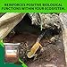 The Bio Dude Terra Sahara Bioactive Reptile Substrate 6 quarts for terrariums and vivariums. Great Bedding for Bearded Dragons, Uromasatyx, Leopard Geckos, Sand Boas and Desert Plants