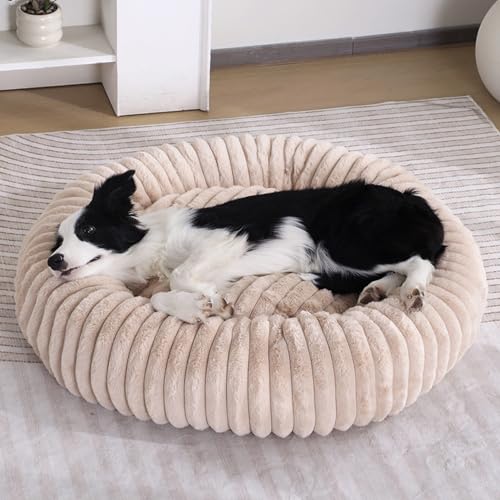 [JUI3N] g  xbh ӂӂ ې ^ H~ pxbh  Lp p ybgxbh ^ ʔN I[V[Y 􂦂  NbV   ybg\t@[ 90CM ˂xbh ~ NX}X ݌v4 