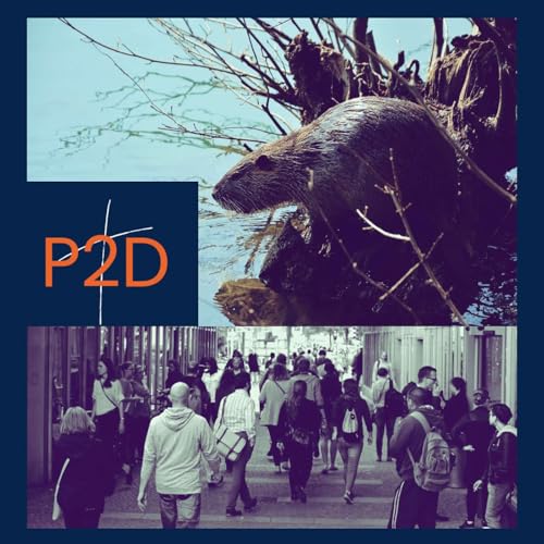 Page de couverture de Episode 8 - Dam Good Neighbors: Small Breaches, Stronger Bonds