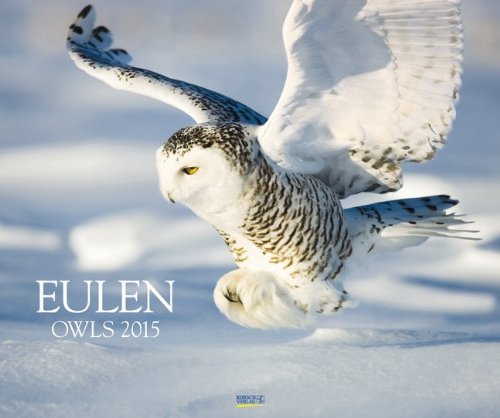 Eulen 2015: PhotoArt Kalender Eulen 2015: PhotoArt Kalender