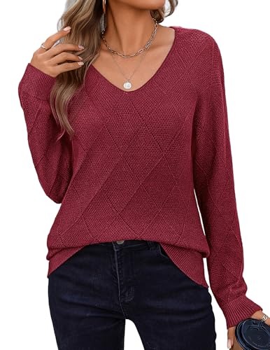 Zeagoo Women's Sweaters Casual Long Sleeve V Neck...