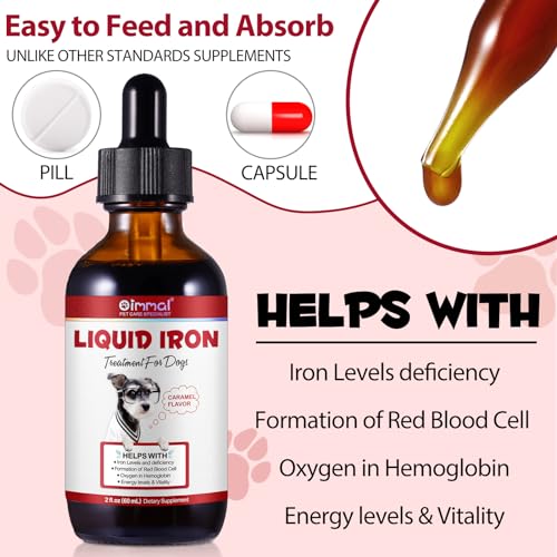 JSBNQRMZ Hunde Eisen Tropfen mit Vitamin B12 & Folsäure - Bei Blutarmut & Energieverlust - Hochbioverfügbares Polysaccharid-Eisen Komplex - Magenschonend - Leckere Karamell Geschmack - 60ml