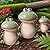 Frog Decor for Outdoor Garden Set of 3 - Cute Ceramic Frog Statues for Lawn, Pond, Patio, or Porch - Whimsical Ornaments, Funny Yard Decor, Ideal Chrismtas Gifts Decorations for Mom Grandma (Green)