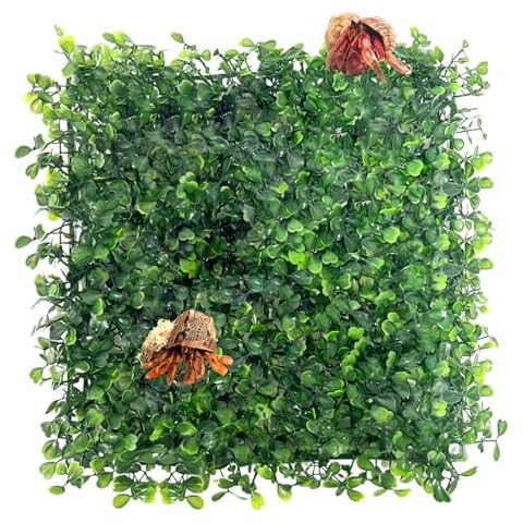 FMOACEN Hermit Crab Climbing Toys, Plastic Simulation Grass Aquarium Tank Decoration with 4 Suction Cups, Hermit Crab Green Plants Supplies Fake Turf, Accessories for Hermit Crab Reptile 10 x 10 Inch Cover