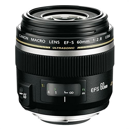 ●営MN070-60　Canon LENS EF-S 55-250mm 1:4-5.6 キャノン キヤノン カメラ レンズ Canon EF-S USM Image Stabilised 一眼レフカメラ