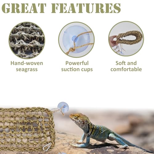 Image of Bird Seagrass Mat Bearded Dragon Hammock Reptile Bridge Hermit Crab Climbing Wall Lizard Lounger Natural Seagrass Woven Net Rat Cage Accessories Hamster Ladder 15.7 inchx 6.7 inch