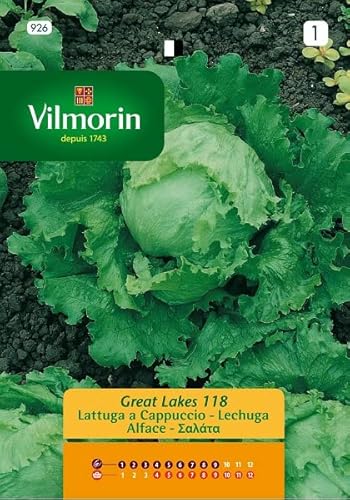 Semillas de LECHUGA GRANDES LAGOS, Ref: 926, Sobre 2,5 g