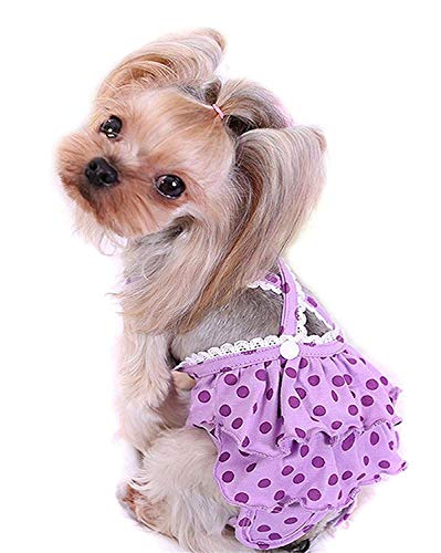 Vivi Bear Doggie Windeln für Frauen, wiederverwendbar, waschbar, hygienische Höschen mit verstellbarem Gurt, einfache Physiologische Shorts für kleine und mittelgroße Hunde