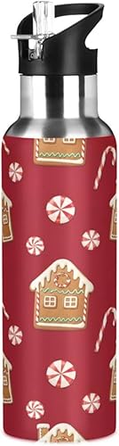 Insulated Water Bottle 20 Oz, BPA-Free Sport Water Bottle for Gym Outdoor Travel School, Gingerbread Houses