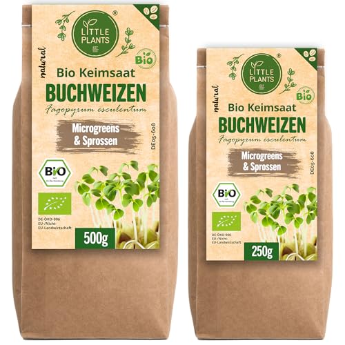 Little Plants Semillas orgánicas de trigo sarraceno brotes [250 g] - semillas de trigo sarraceno - brotes de trigo sarraceno y microverdes para germinar (incluye libro electrónico)