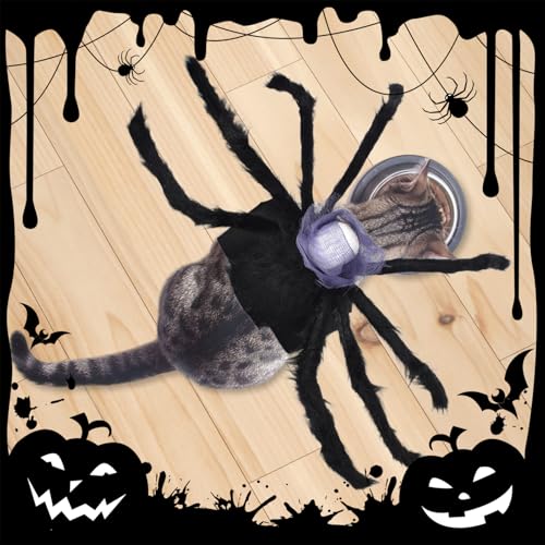 Halloween Spinne Kostüm für Hund Katze, Lila Schädel Kostüm für Hunde und Katzen, Cosplay Spider Kostüme für Hunde und Katzen, Haustierkostüm für Halloween Cosplay (M)